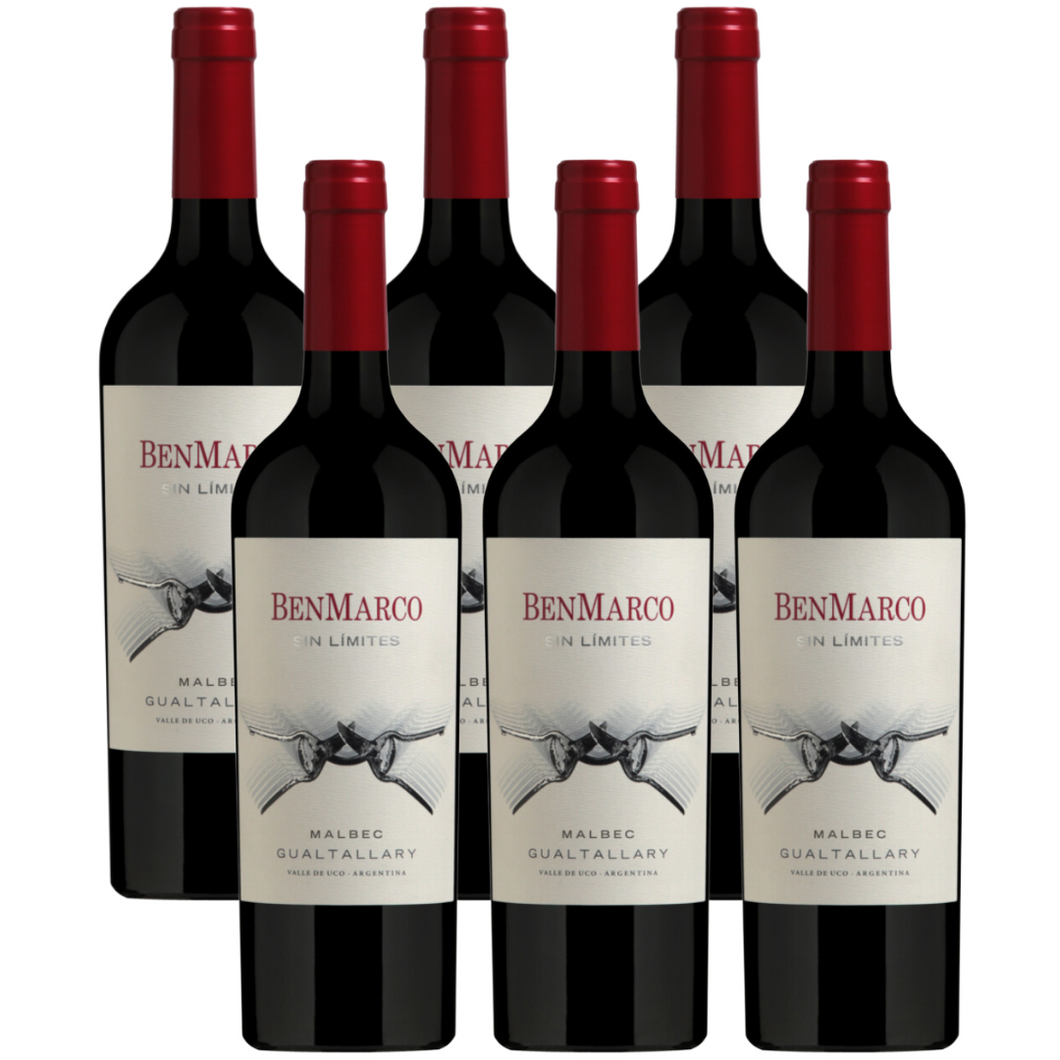 Susana Balbo BenMarco Sin Limites Malbec Gualtallary 2021 x 6